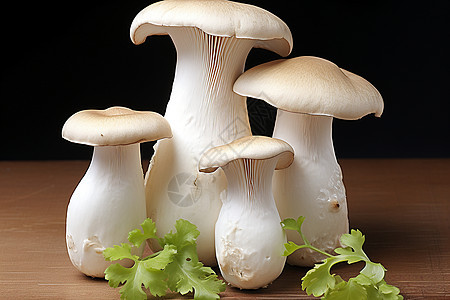 美味的蘑菇素食图片