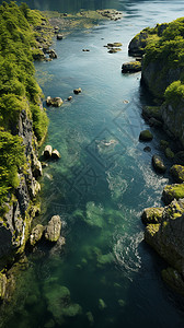 清澈的小溪夏季清澈的峡谷河流背景