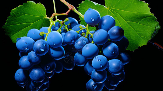 青色葡萄（美食餐饮）图片