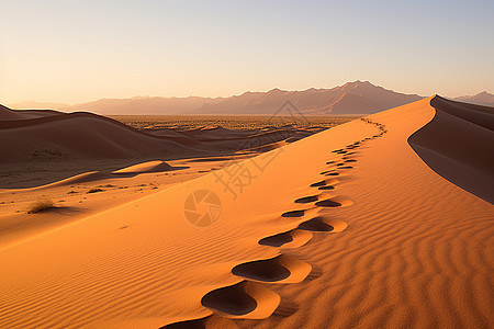 沙丘脚印图片