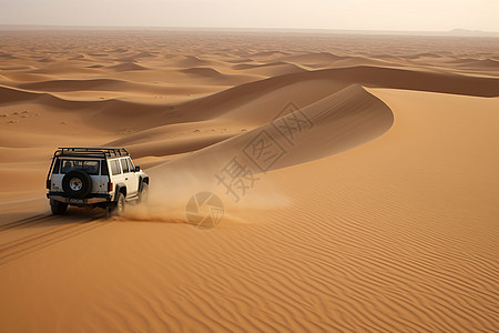 沙漠中的冒险之旅图片