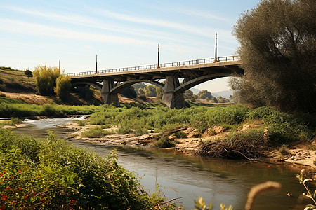 翠绿田野的小桥河流图片