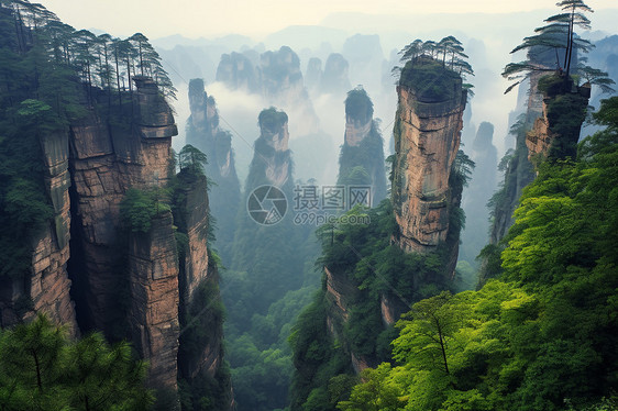 张家界的柱形岩石景观图片