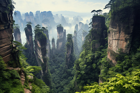 天然形成的张家界山林景观图片