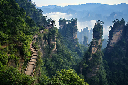 张家界的陡峭山路图片