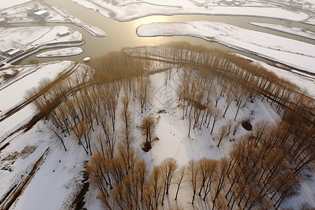 冰雪初融的景色图片