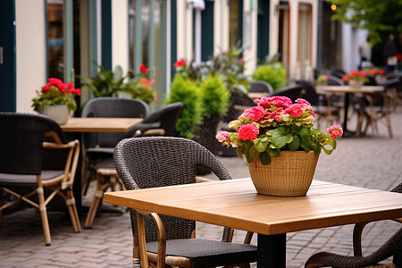 咖啡椅户外桌子上的盆栽背景
