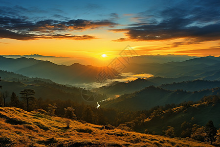旭日初升的山谷景观图片