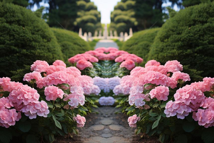 粉色花园中的美丽景色图片