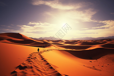 沙漠之行图片