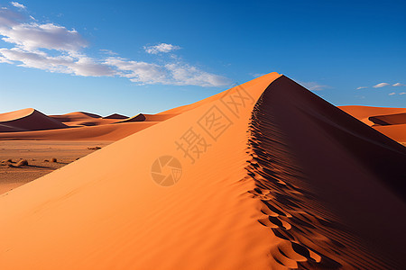 沙漠中的足迹图片