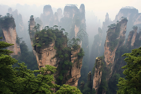 张家界风景名胜区图片