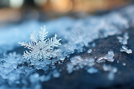 冬天下雪一片雪花背景