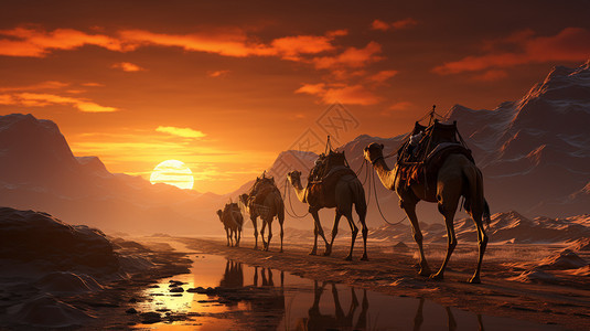 骆驼在黄色的沙漠里行走图片