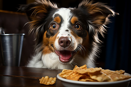 狗狗吃薯条狗狗用舌头舔食物的表情背景