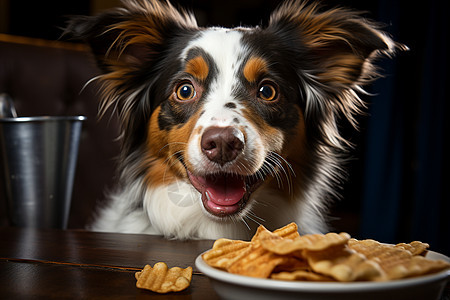 狗狗用舌头舔食物的表情图片