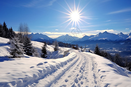 冬日阳光下的雪景图片