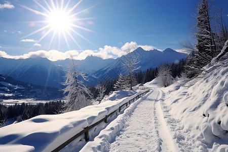 白雪皑皑的山路图片