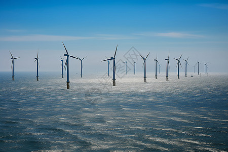 海上的风电场图片