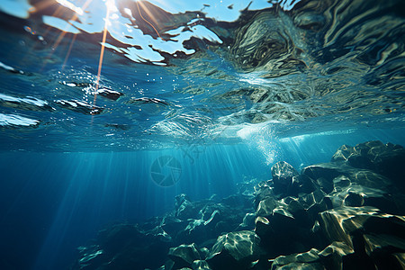 绚丽多彩的海底世界图片