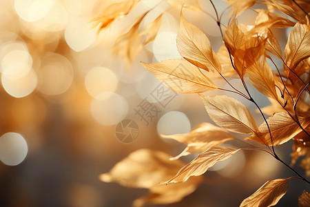 叶子融入棕色和闪耀的金色中图片