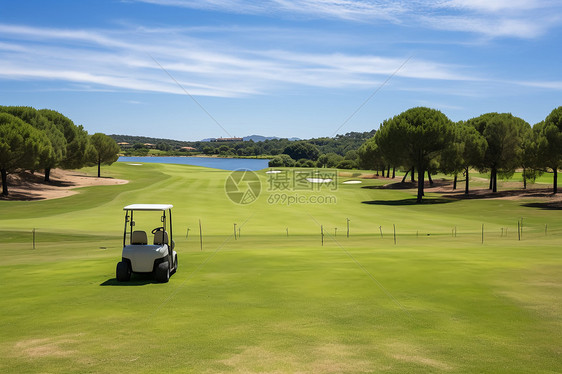 夏季绿草如茵的高尔夫球场图片