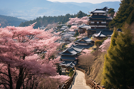 日本灯会美丽的樱花山庄背景