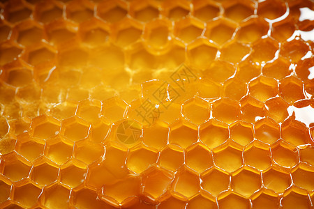 蜂巢和蜂蜜背景图片