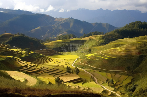 乡村农田景色图片