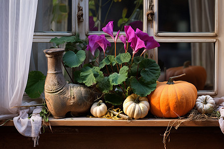 窗台上的植物和花朵背景图片