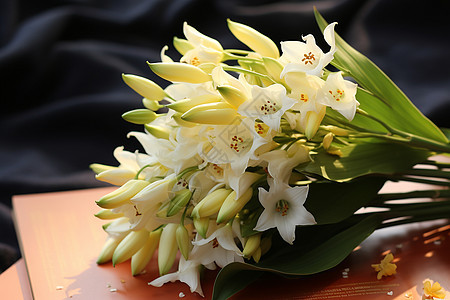 桌子上的花卉图片