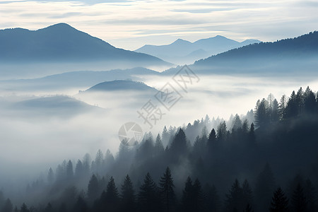 风景如画的山林景观图片