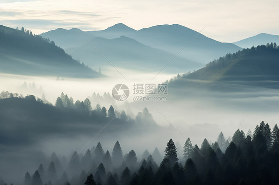 清晨薄雾笼罩的山林景观图片