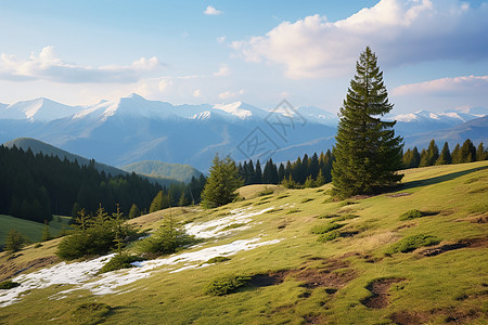 春季风景如画的山林景观背景