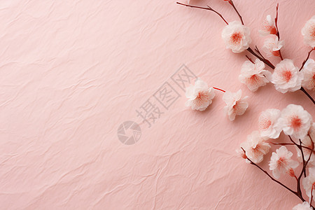 粉红色樱花枝的背景图片