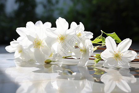 花香四溢的茉莉花图片