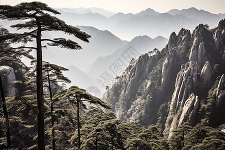 震撼的黄山山脉景观图片