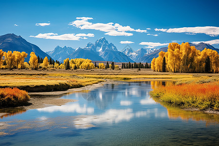 户外背景秋天的湖泊风景背景