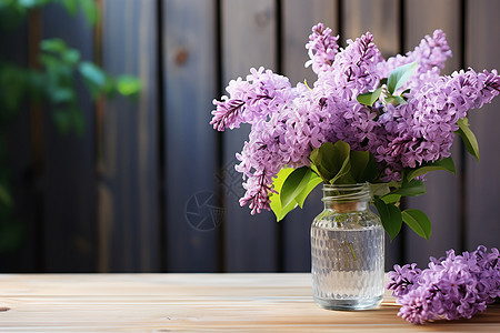 装饰的紫丁香花束图片