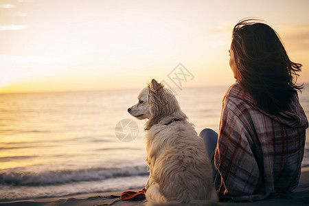 坐在海边的美女与狗图片