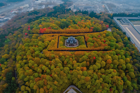 秋日枫叶下的美景背景图片