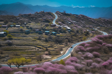 航拍的山间桃花图片