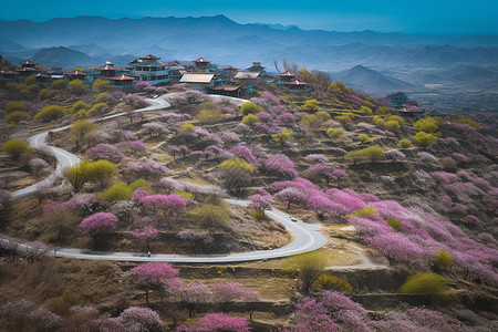 桃花盛开的山间图片