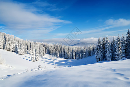 冬森林雪山之冬背景