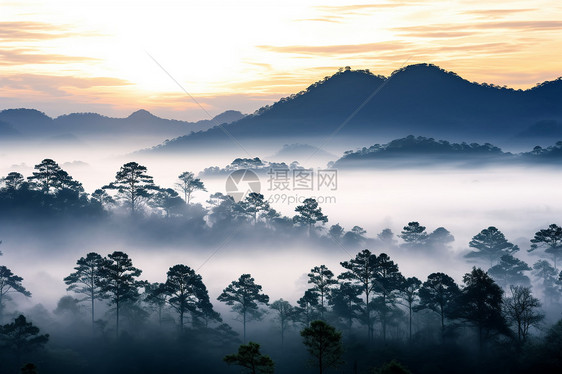 山巅的晨曦图片