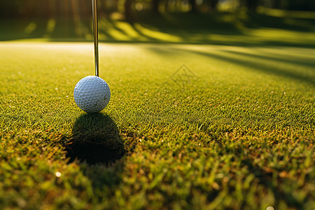 阳光下的高尔夫背景图片
