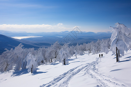 冰雪世界探险背景图片