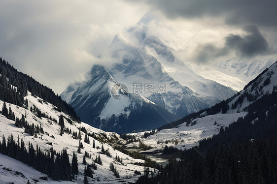 枫叶飘雪山间白云图片