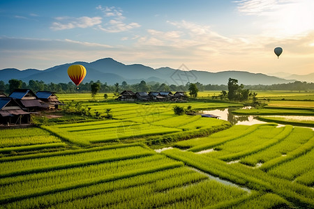 气球风景美丽的稻田风景背景