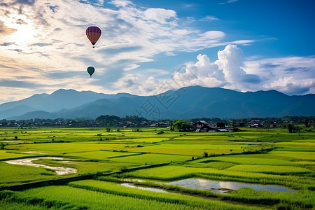 天空气球稻田上的热气球背景